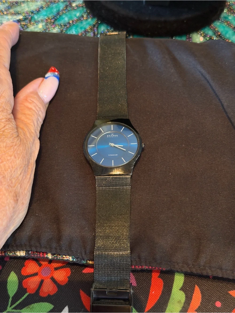 Skagen Black Blue Dial Watch